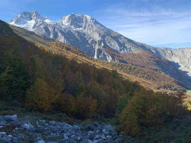 Cumbres De Los Picos Apartamento La Yedra Poo  Экстерьер фото